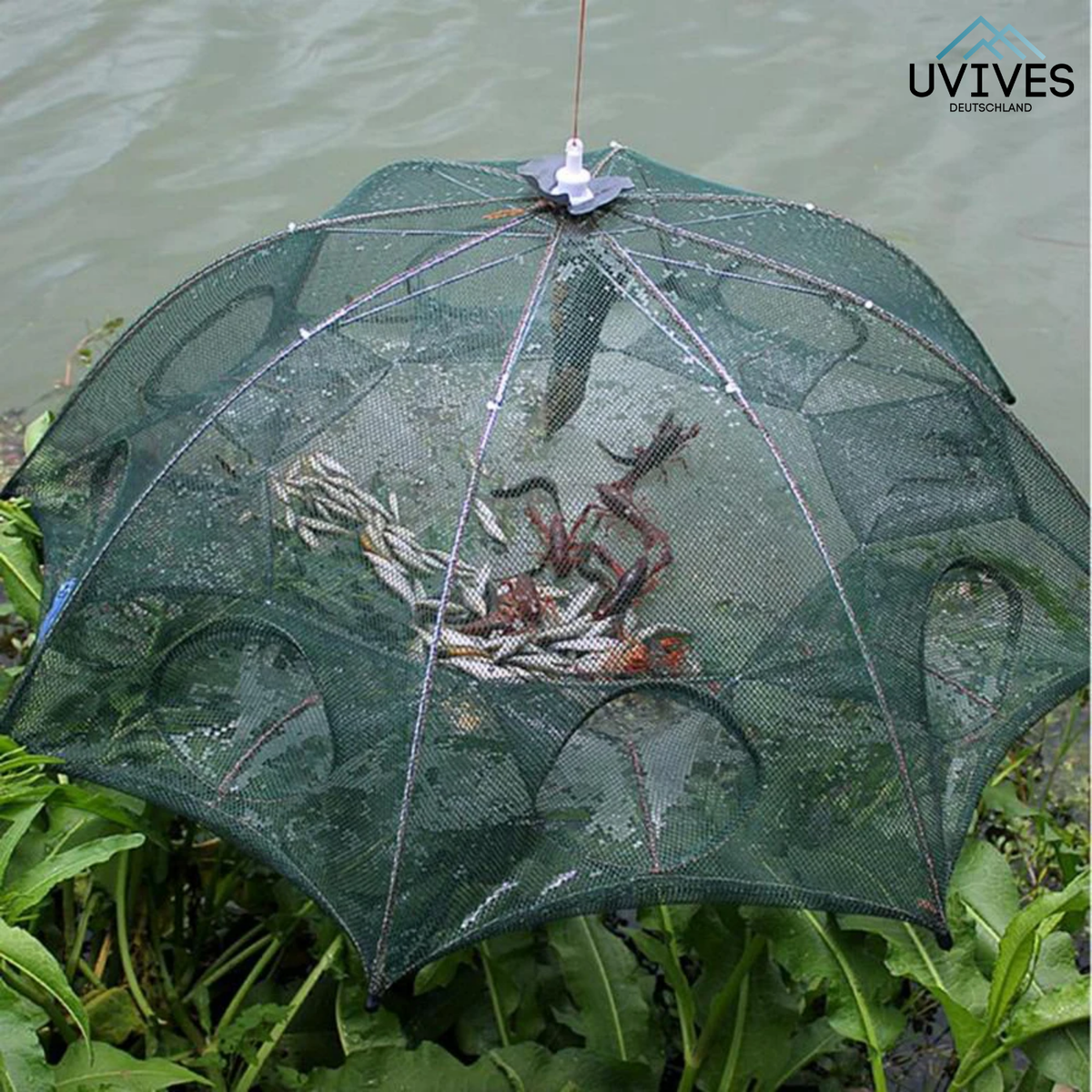Smart Trap for Catching Fish and Crabs