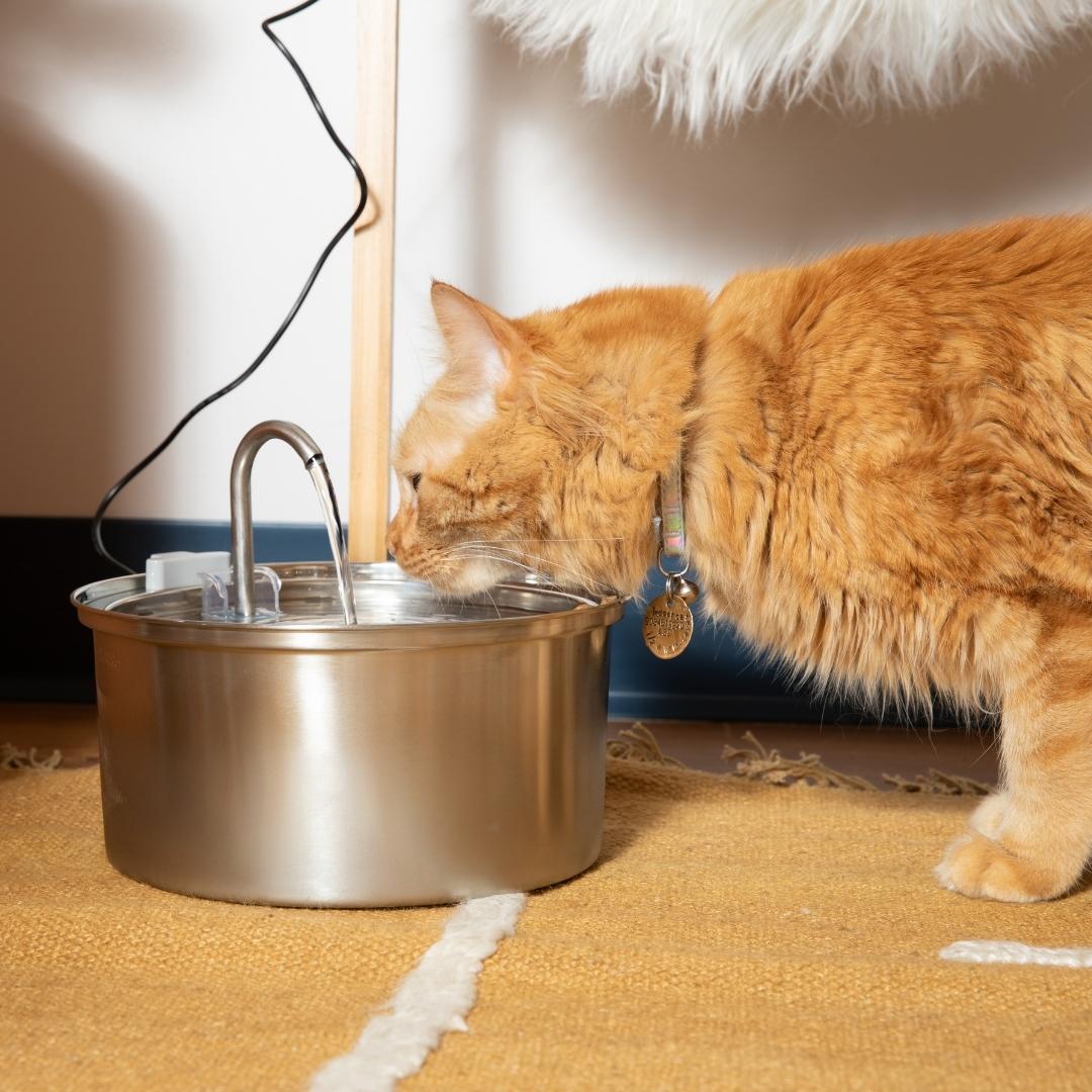 4L Smart Pet Water Dispenser with Stainless Steel Design