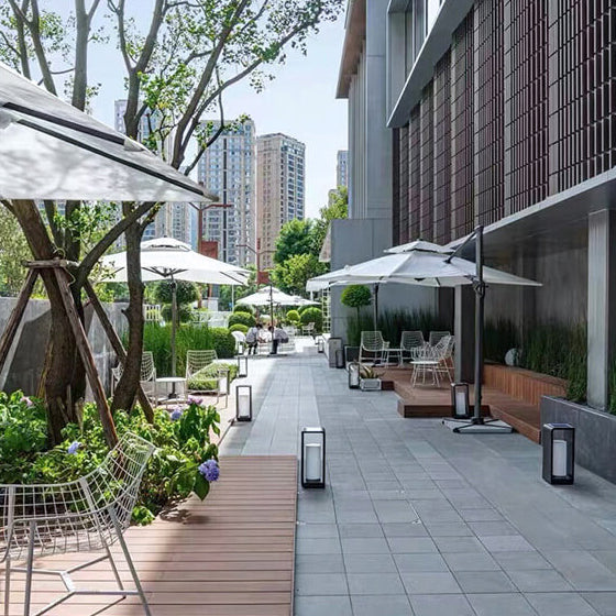 Elegant Solar & Wired Outdoor Garden Pathway Illumination