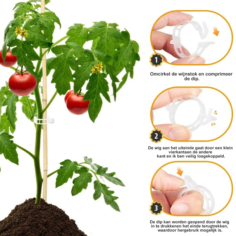 Support Clips for Thriving Plants