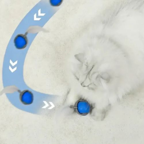 Interactive Rolling Ball for Clever Fun with Your Furry Friends