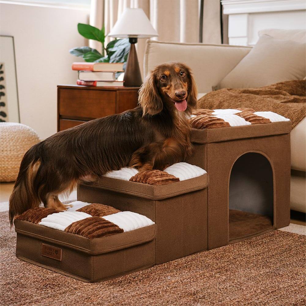 Luxury Dog Steps for Pets | Style, Comfort, and Functionality