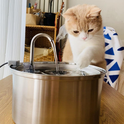 4L Smart Pet Water Dispenser with Stainless Steel Design