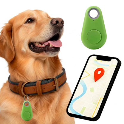Smart Pet Locator with No Subscription Fees – Live Tracking