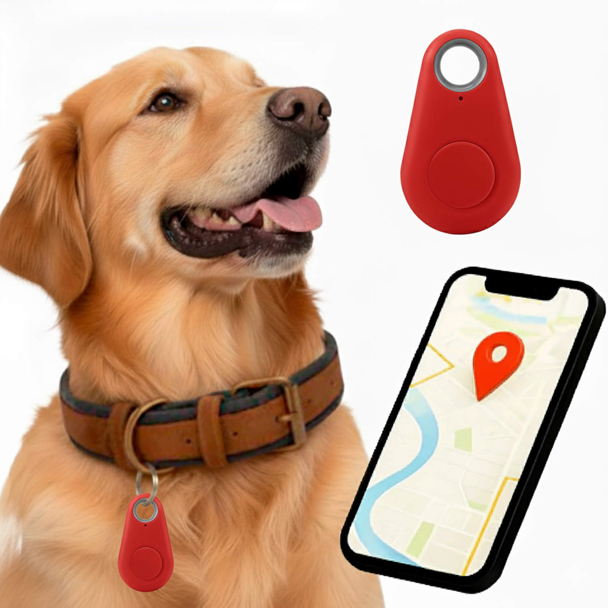 Smart Pet Locator with No Subscription Fees – Live Tracking