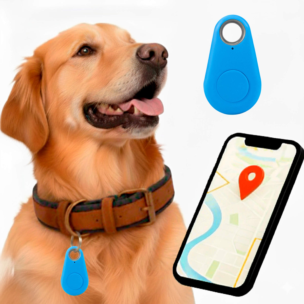 Smart Pet Locator with No Subscription Fees – Live Tracking