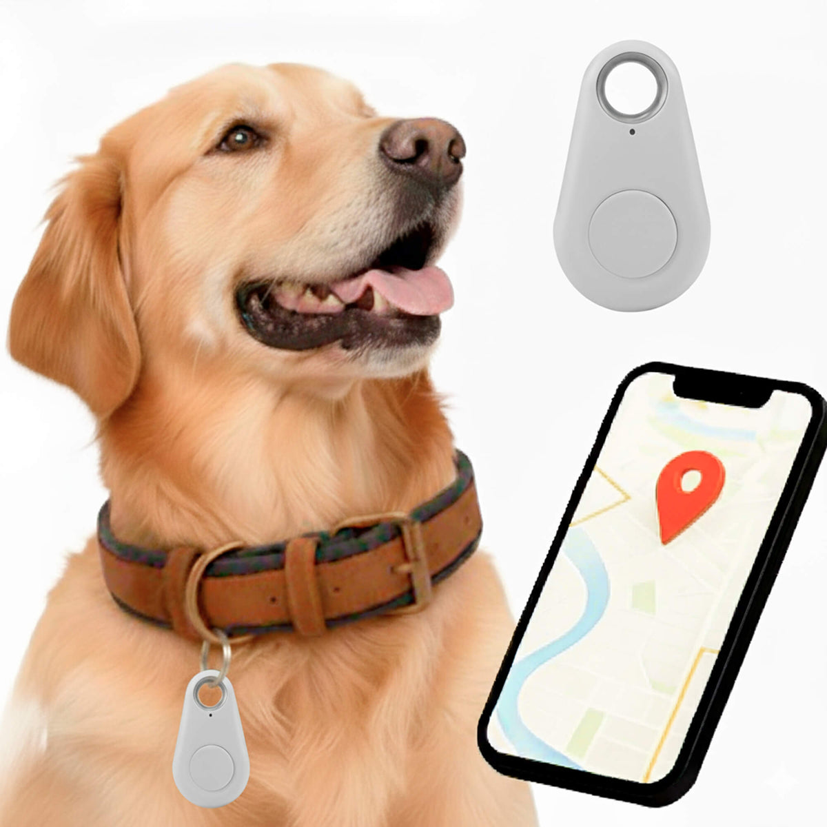 Smart Pet Locator with No Subscription Fees – Live Tracking