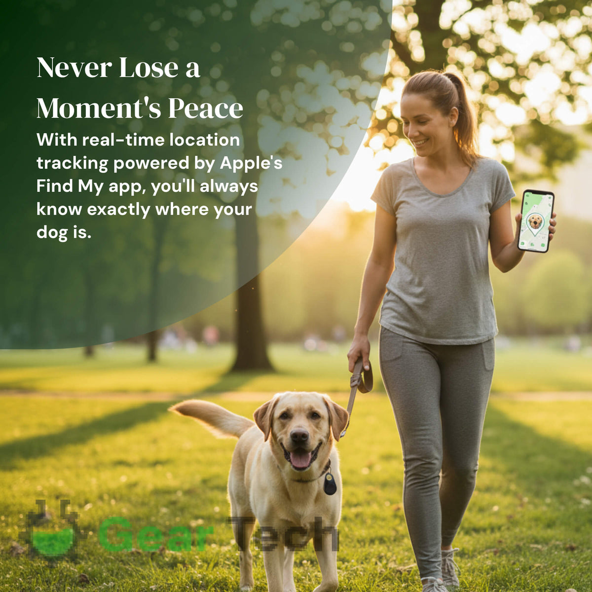 Smart Pet Locator with No Subscription Fees – Live Tracking