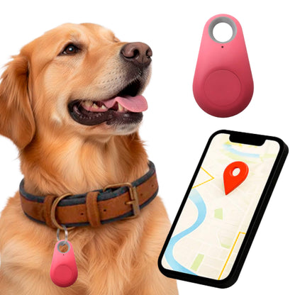 Smart Pet Locator with No Subscription Fees – Live Tracking