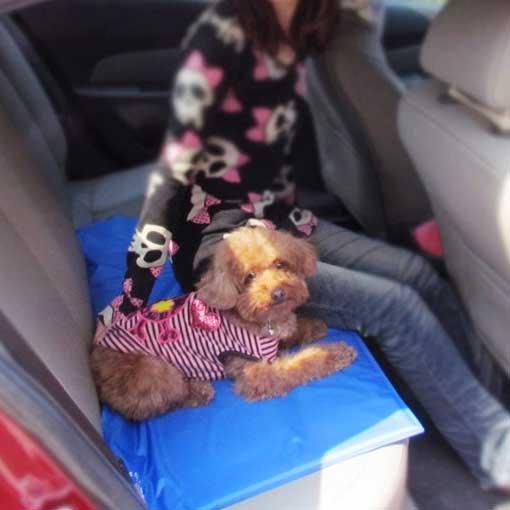 ChillMate Cooling Pad for Pets - No Power Required