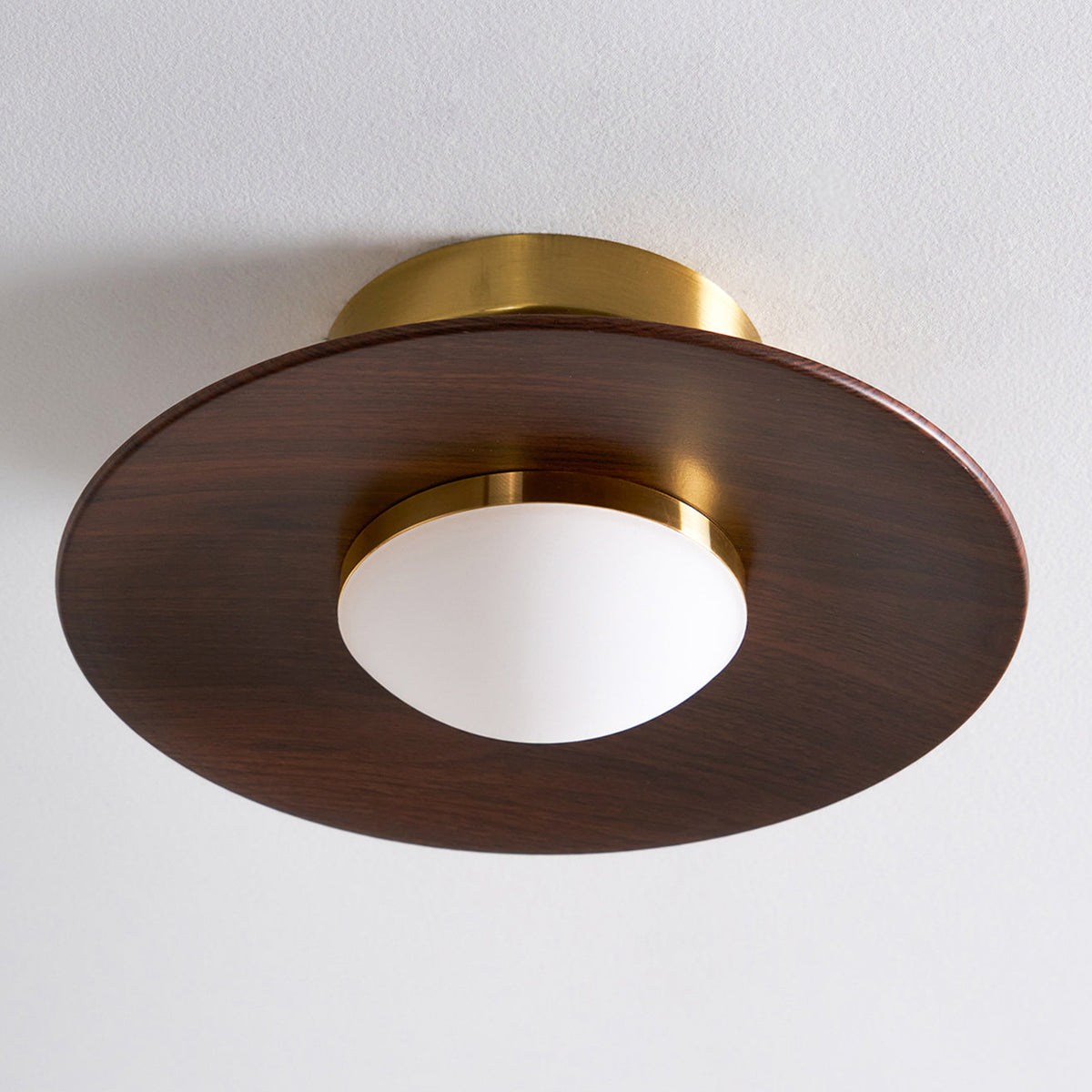 Elegant LED Ceiling Fixture for Modern Living Spaces