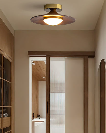 Elegant LED Ceiling Fixture for Modern Living Spaces