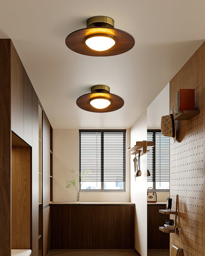 Elegant LED Ceiling Fixture for Modern Living Spaces