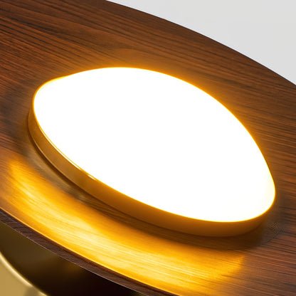 Elegant LED Ceiling Fixture for Modern Living Spaces