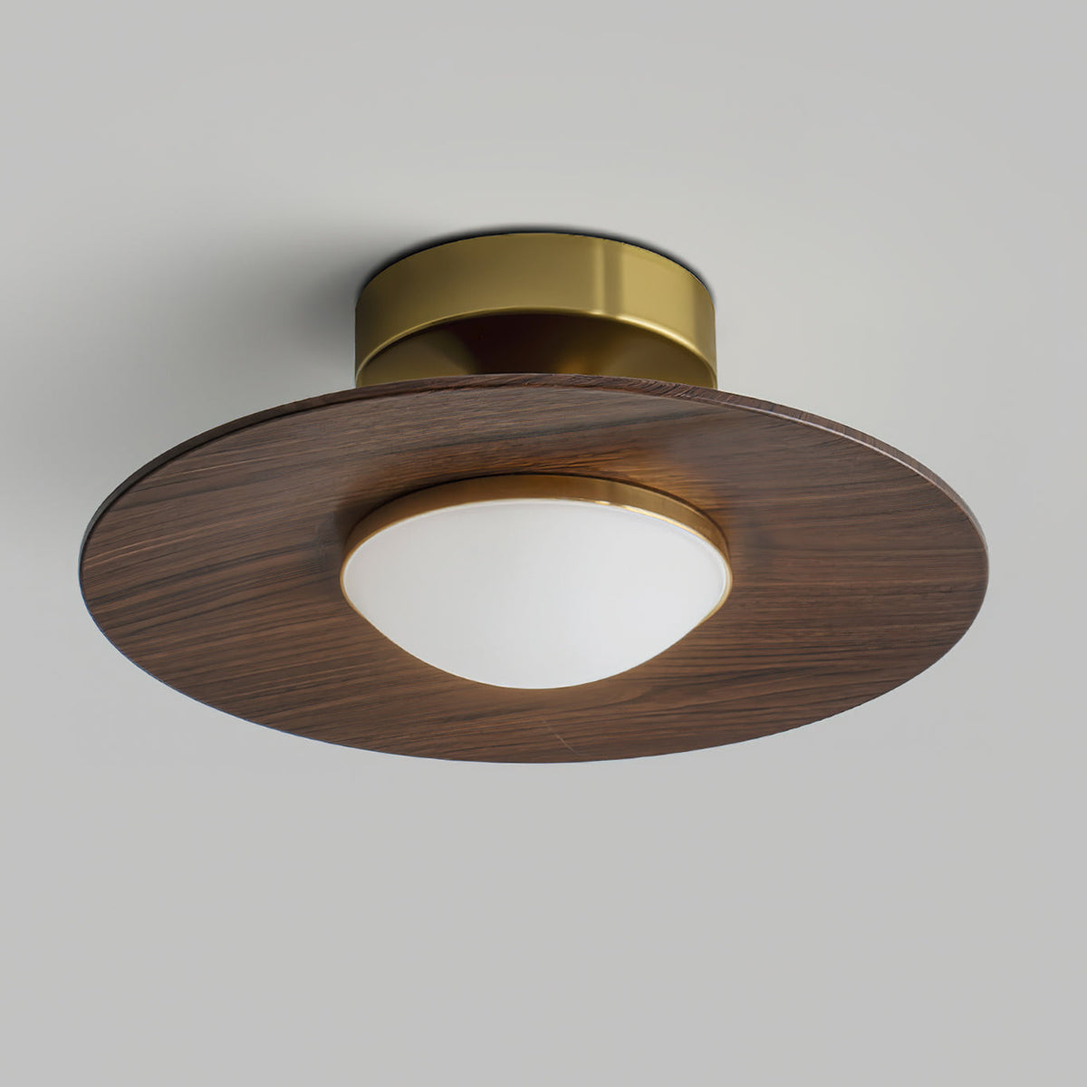 Elegant LED Ceiling Fixture for Modern Living Spaces