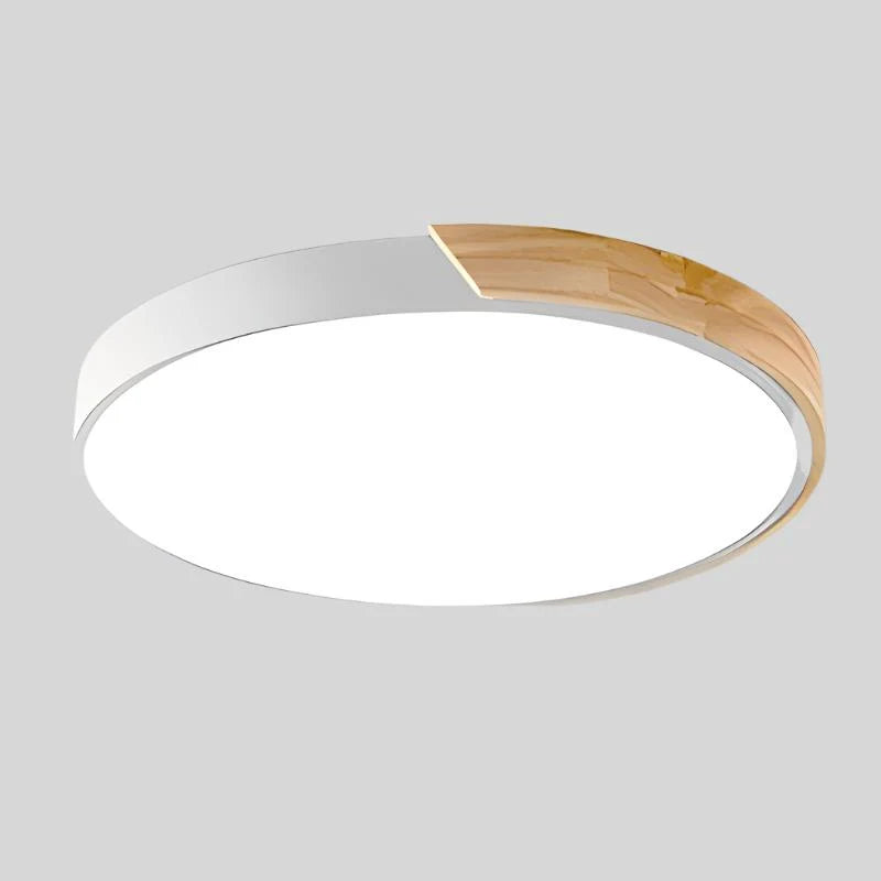 Ceiling Light Integrated LED Diffused Illumination