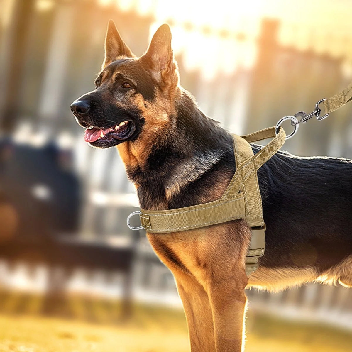 Dog Harness Adjustable No-Pull Reflective Padded Handle