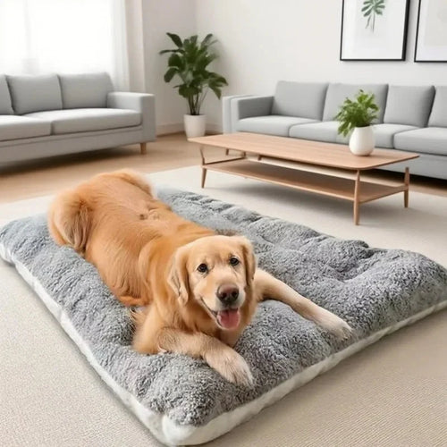 Dog Mat Thick Plush Padding Easy-Care Fabric