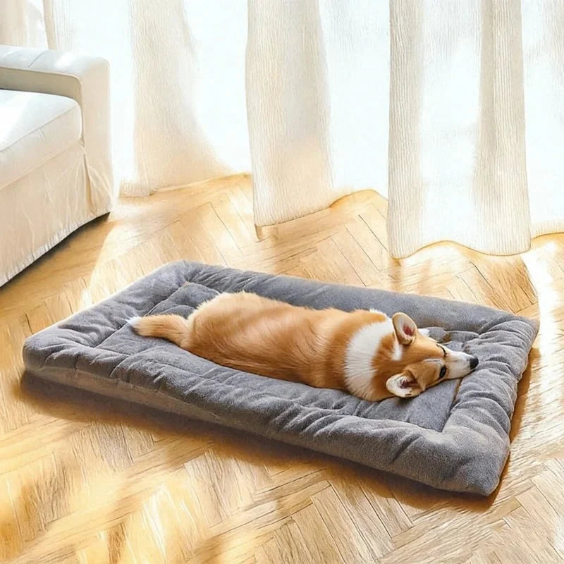 Dog Mat Thick Plush Padding Easy-Care Fabric