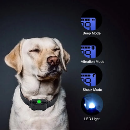 Dog Training Collar Remote Control Water-Resistant Rechargeable