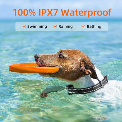 Dog Training Collar Remote-Controlled Water-Resistant 3,281 Ft Range