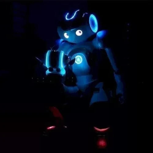 Humanoid Robot 25-Axis Movement Voice Interaction in 20 Languages