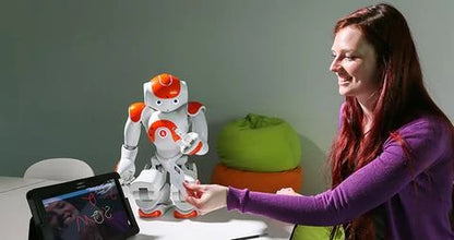 Humanoid Robot 25-Axis Movement Voice Interaction in 20 Languages