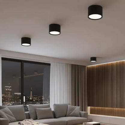 LED Ceiling Light Selectable Color Temperature Surface Mount