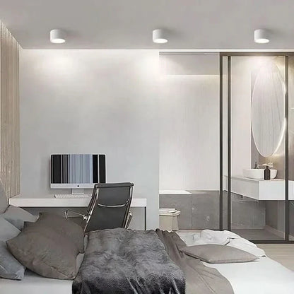 LED Ceiling Light Selectable Color Temperature Surface Mount
