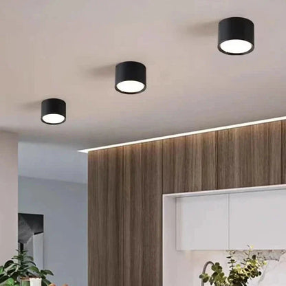 LED Ceiling Light Selectable Color Temperature Surface Mount