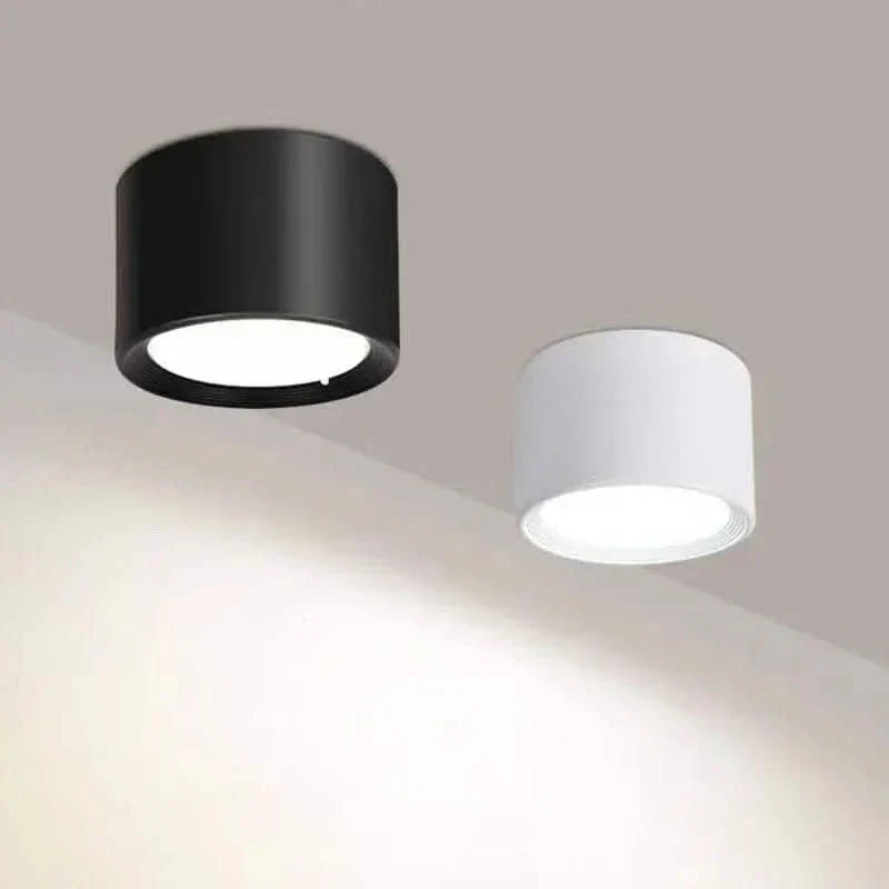 LED Ceiling Light Selectable Color Temperature Surface Mount