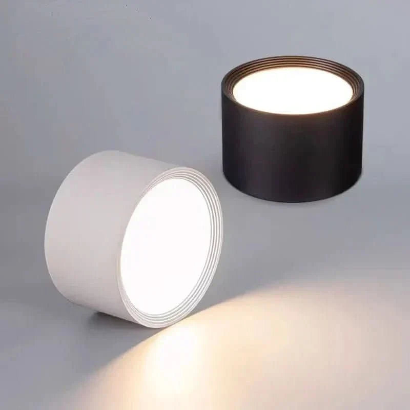 LED Ceiling Light Selectable Color Temperature Surface Mount