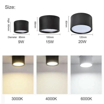 LED Ceiling Light Selectable Color Temperature Surface Mount