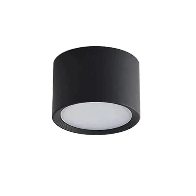 LED Ceiling Light Selectable Color Temperature Surface Mount
