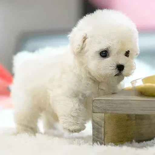 Robot Dog Toy Interactive Walking & Barking Lifelike Design