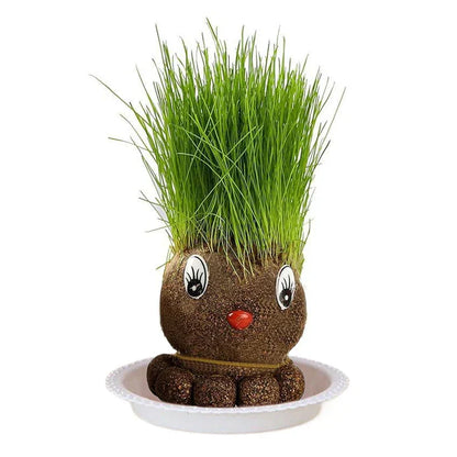 Lively Indoor Grass Buddy for a Fresh Home Atmosphere