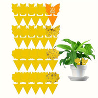 20pcs