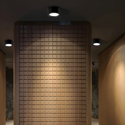 Sleek LED Flush Mount Ceiling Light for Any Space