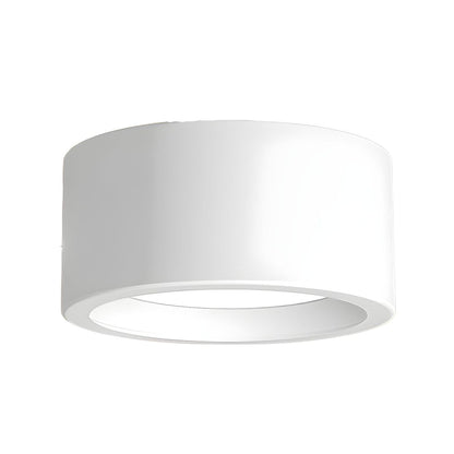 Sleek LED Flush Mount Ceiling Light for Any Space