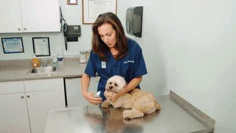 PawGuard Pro Nail Clipper with Smart Sensor Technology