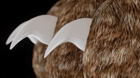 PawGuard Pro Nail Clipper with Smart Sensor Technology