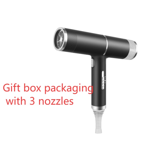 Portable Ionic Hair Dryer with Dual Attachments - 1200W Power