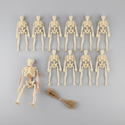Spooky Poseable Skeleton Figures for Halloween Decor