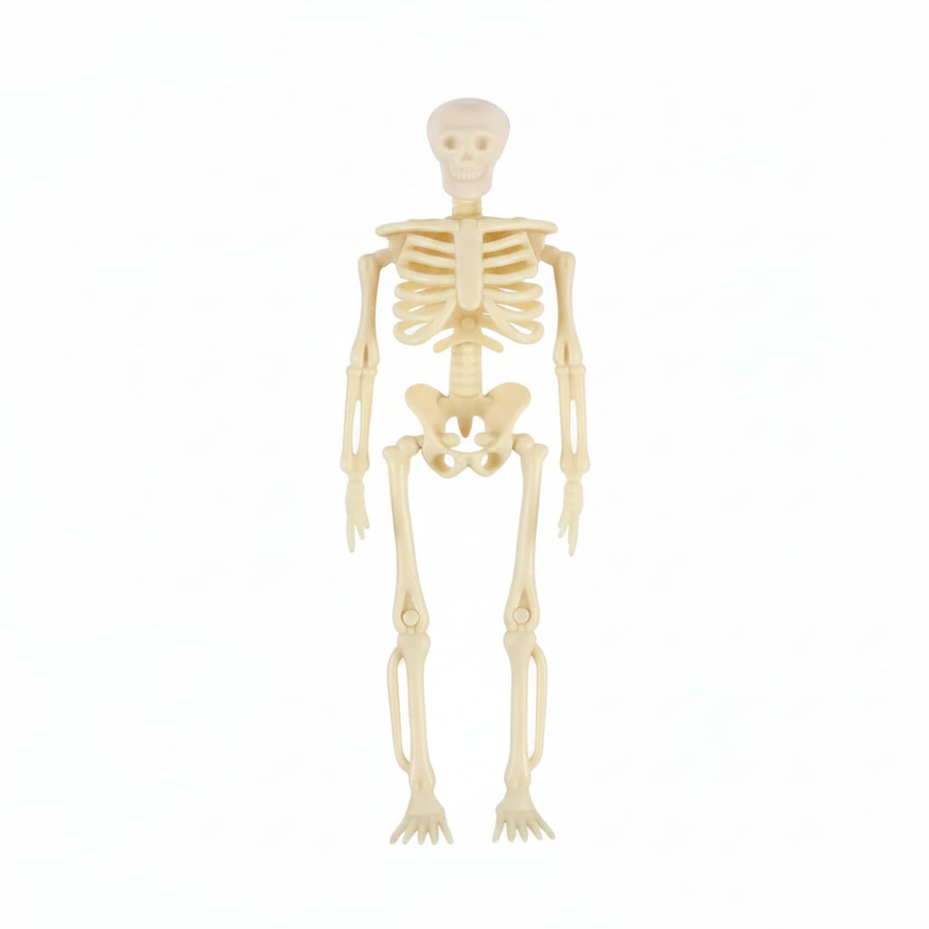 Spooky Poseable Skeleton Figures for Halloween Decor