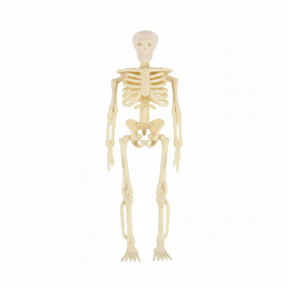 Spooky Poseable Skeleton Figures for Halloween Decor