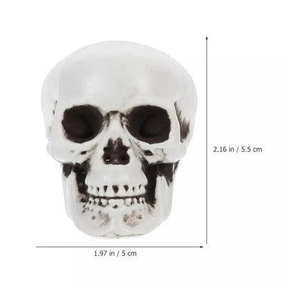 Miniature Skull Decorations for Halloween Festivities