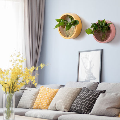 Vertical Wall Planter with Transparent Front for Stylish Greenery