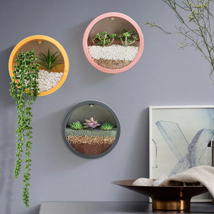Vertical Wall Planter with Transparent Front for Stylish Greenery