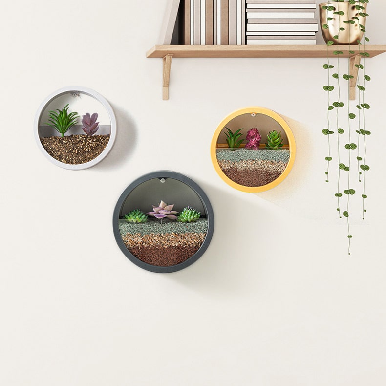 Vertical Wall Planter with Transparent Front for Stylish Greenery