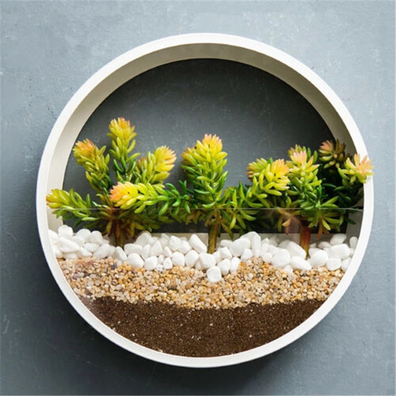 Vertical Wall Planter with Transparent Front for Stylish Greenery